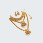 সাউথ ইন্ডিয়ান কম্বো সেট